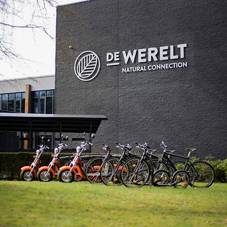 Hotel de Werelt-3